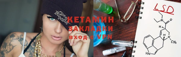 стаф Новодвинск