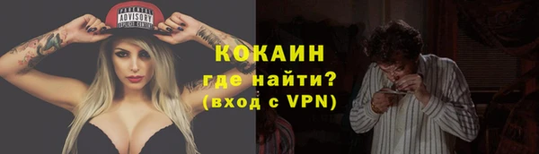 шишки Нязепетровск