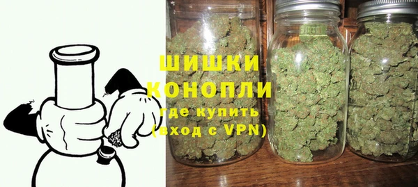 стаф Новодвинск