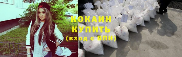 стаф Новодвинск