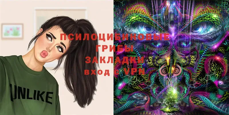 Галлюциногенные грибы Magic Shrooms  Кемь 